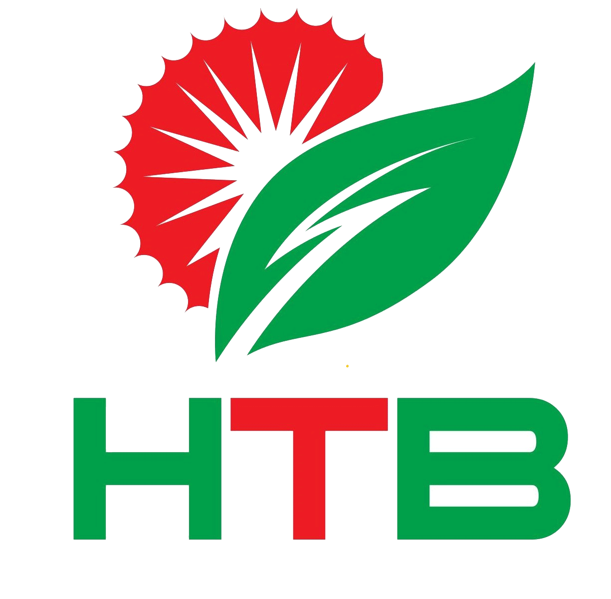 Hùng Việt - Bring solution to you | Điện năng lượng mặt trời, điện mặt trời